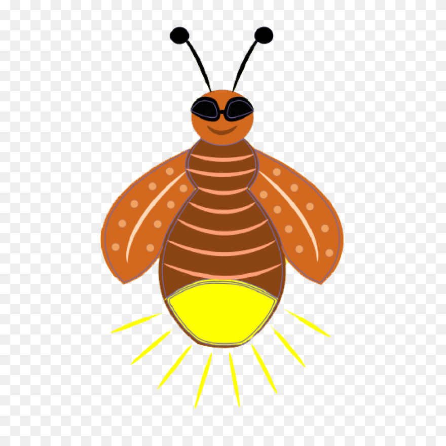 Firefly Bug Lightning - Free Vector