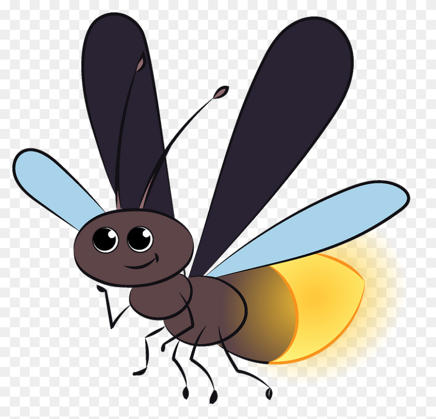 Firefly Clipart. Free Download .png - Firefly