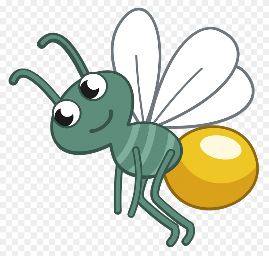 Firefly Bug Lightning - Free Vector