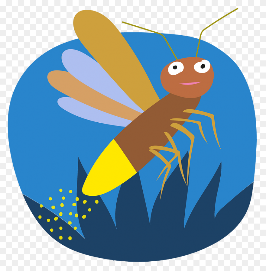 Firefly Bug Lightning - Free Vector
