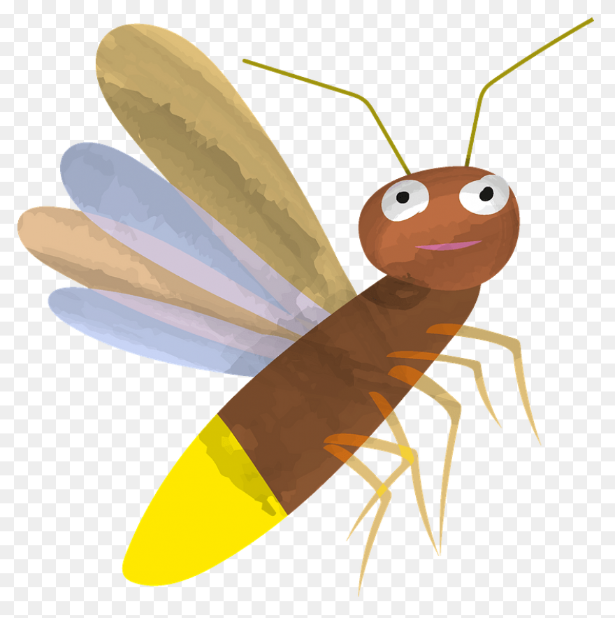 Firefly Clipart. Free Download .png - Firefly