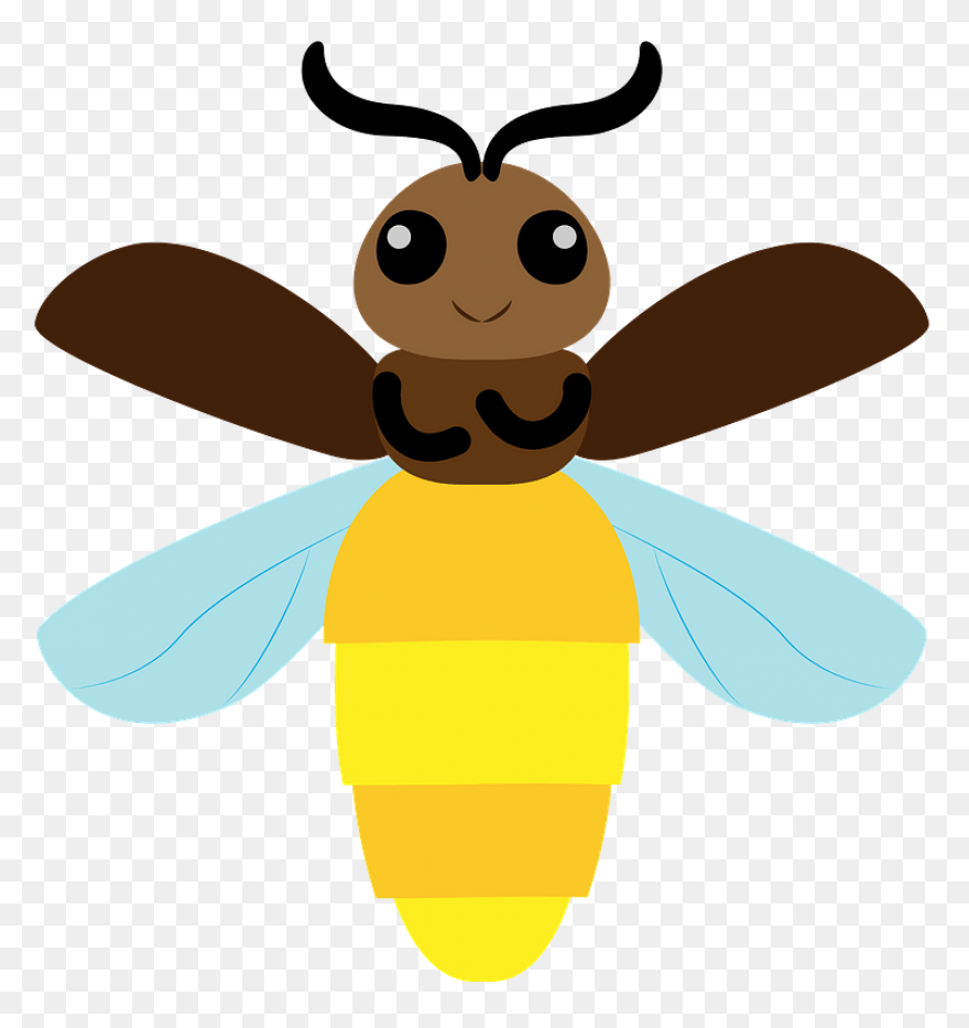 Firefly Bug Lightning - Free Vector