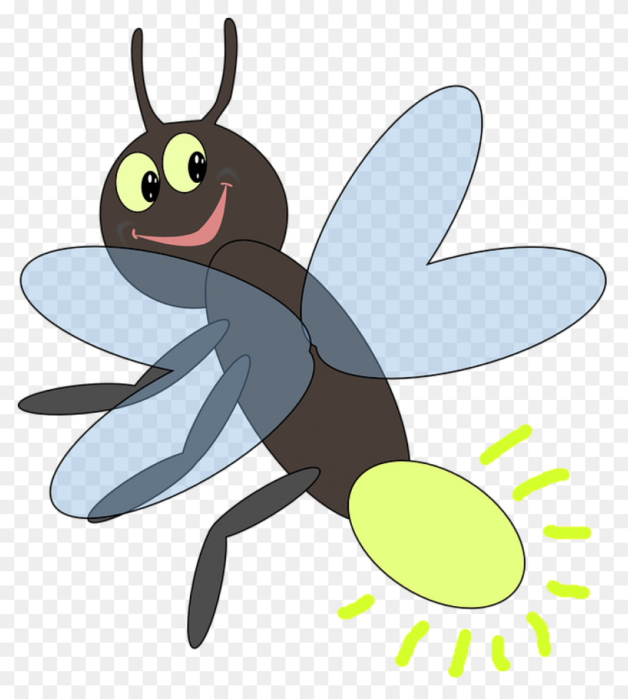 Firefly Bug Lightning Free Vector - Firefly