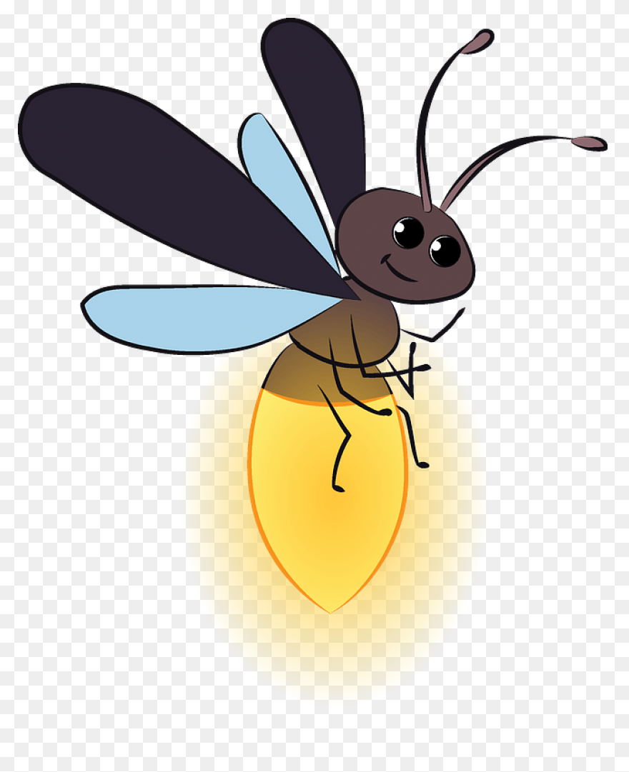 Firefly Clipart. Free Download .png - Firefly