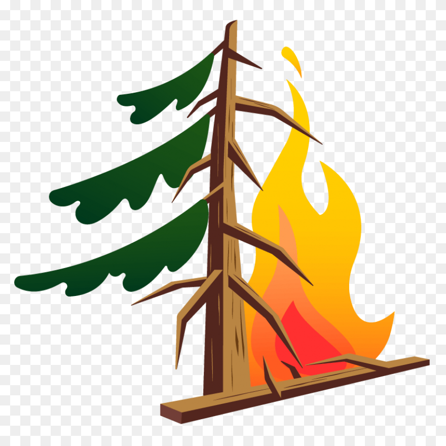Forest Fires & Climate Change - Fire Effect