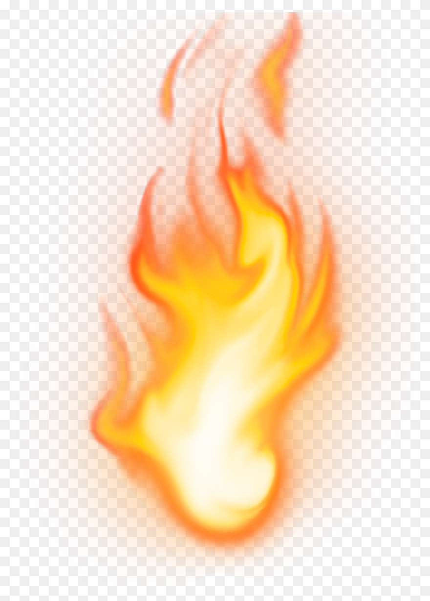 Forest Fires & Climate Change |