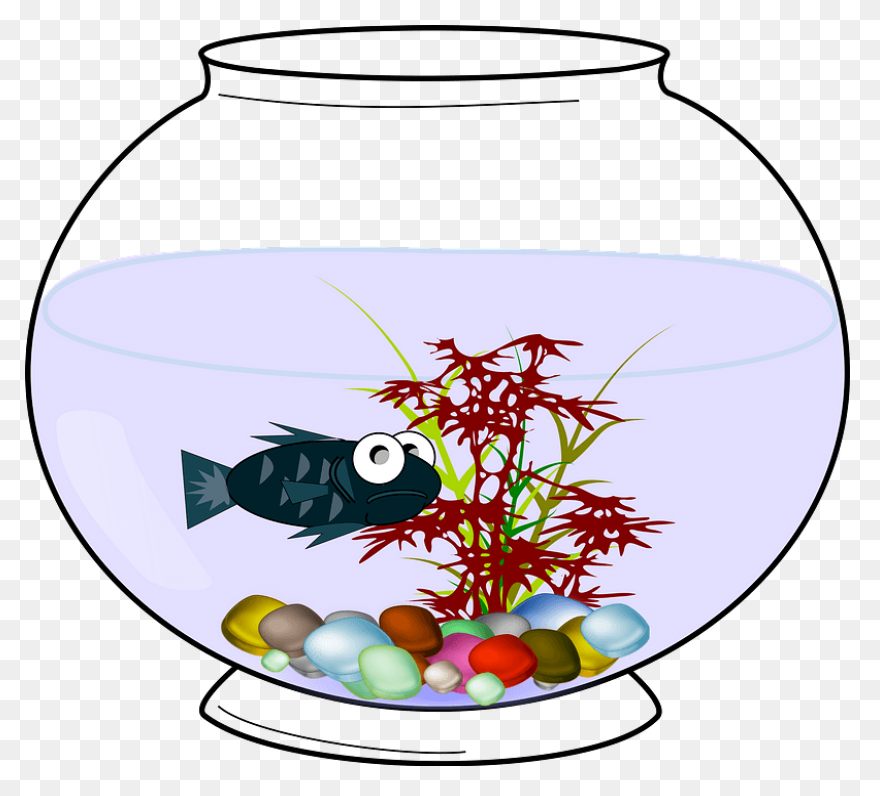 12+ Fishbowl View Aquarium Fish Bowl Clipart. Free PNG Clip Art Images