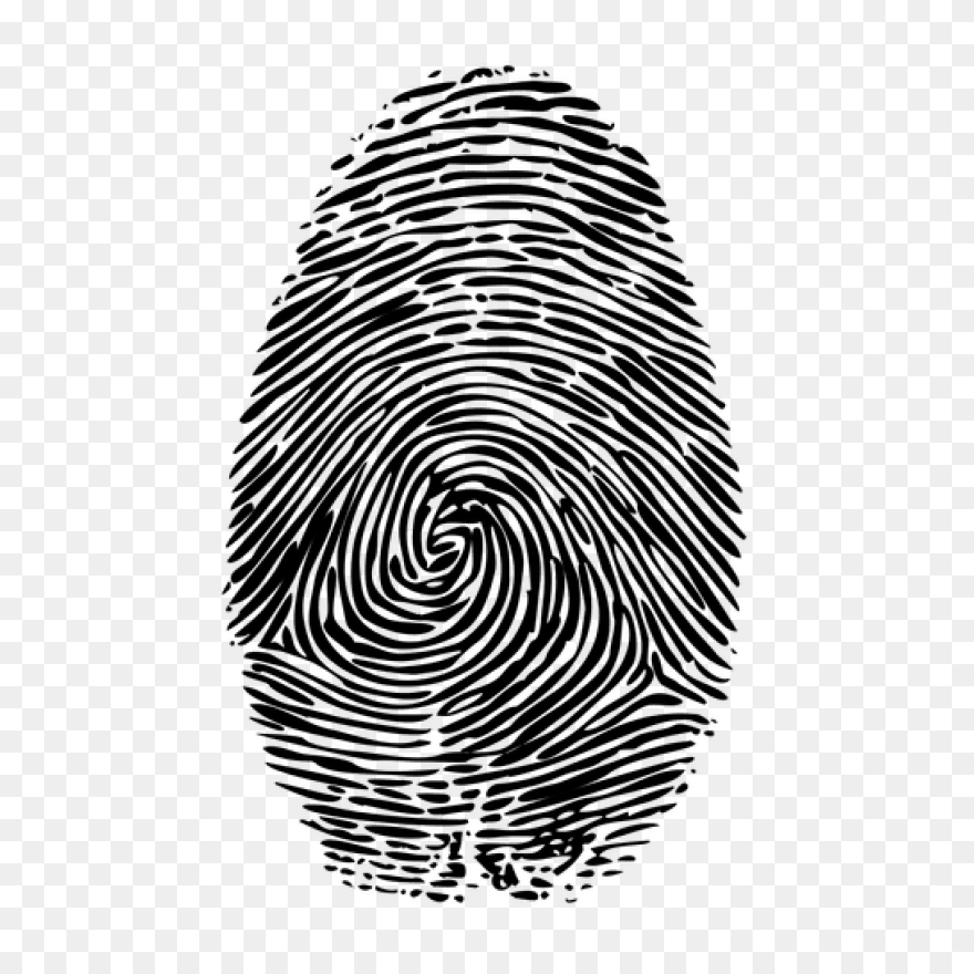 Fingerprint Computer Icons Thumb Fi