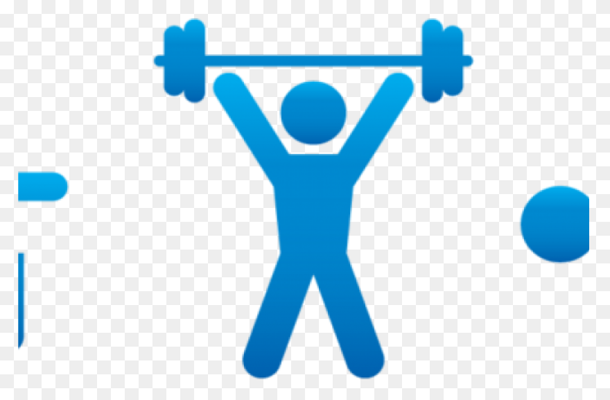 Fitness & Personal Trainer In M