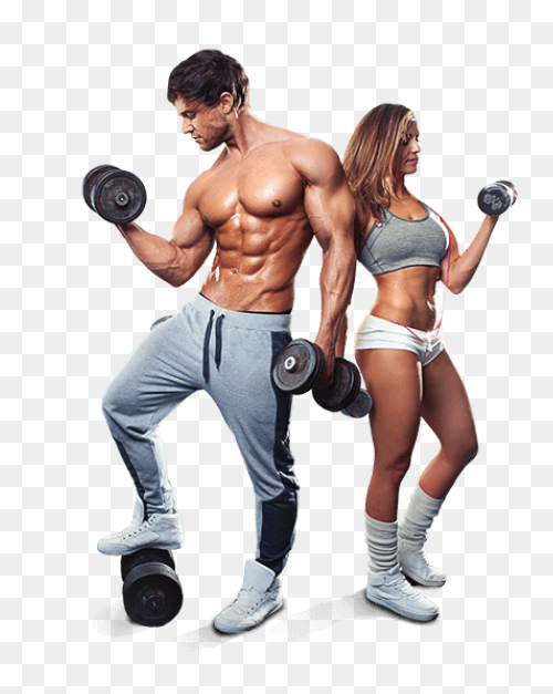 Fitness & Personal Trainer In M