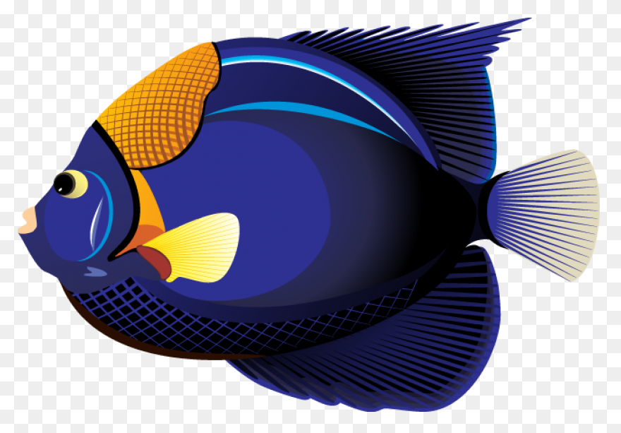 Fish Clipart | Fish Clipart, Tropic