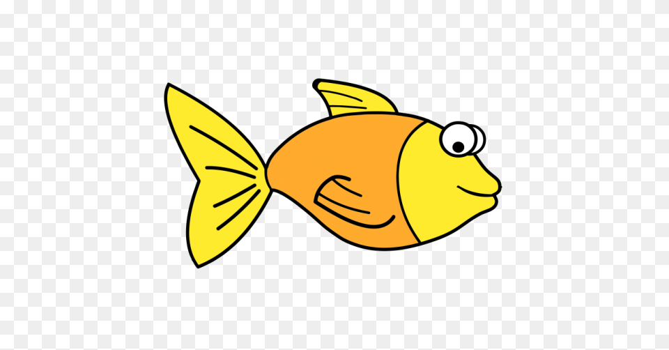 Fish Clipart | Fish Clipart, Tropic