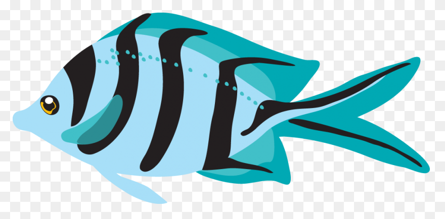 Fish Clipart | Fish Clipart - Fish