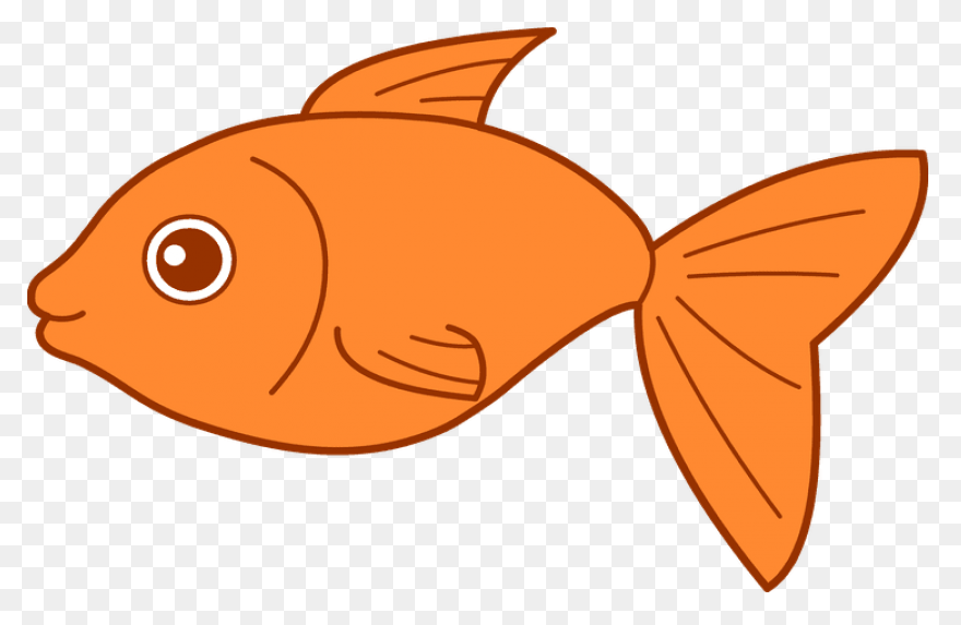 Fish Clipart | Fish Clipart, Tropic