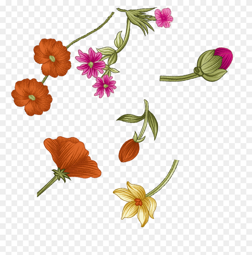 Flowers Wreath Floral - Free Image 