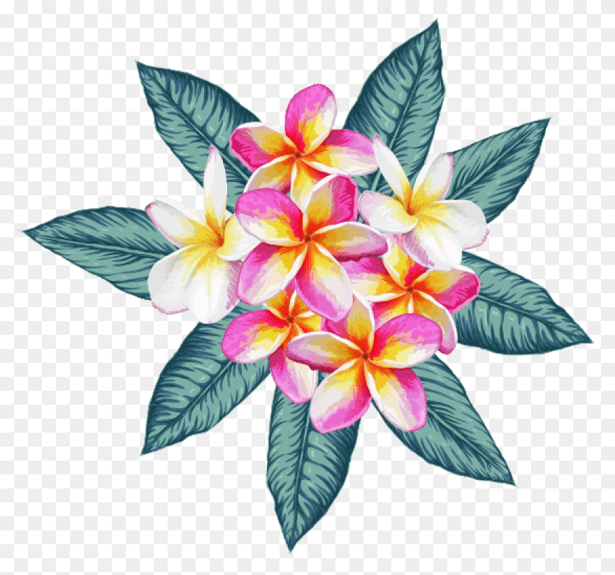 Floral Design Flower Bouquet Petal 