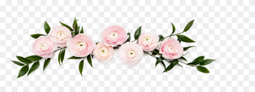 Free Flowers Tumblr Transparent, Do