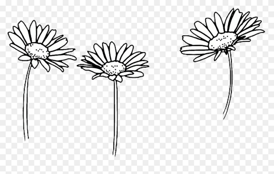 Free Flowers Tumblr Transparent, Do