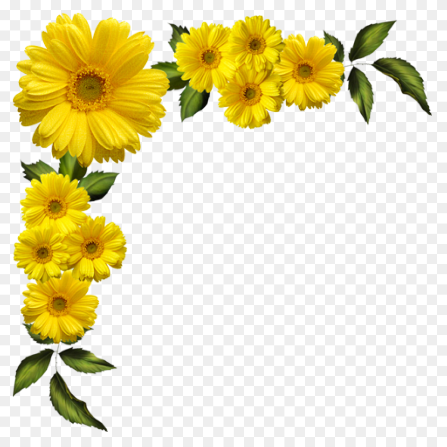 Free Flowers Tumblr  Download - Flowers Tumblr