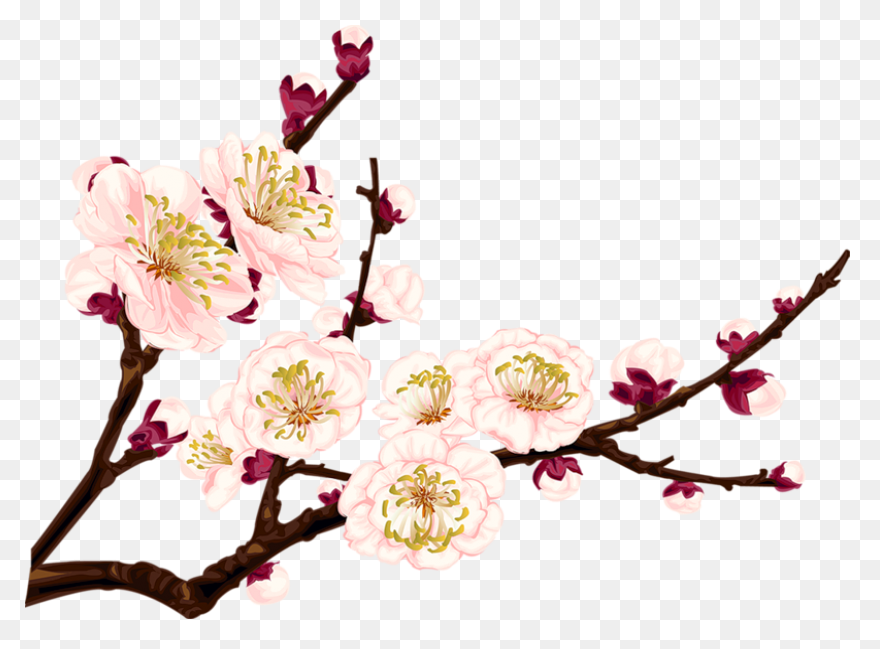 Free Flowers Tumblr Transparent, Do