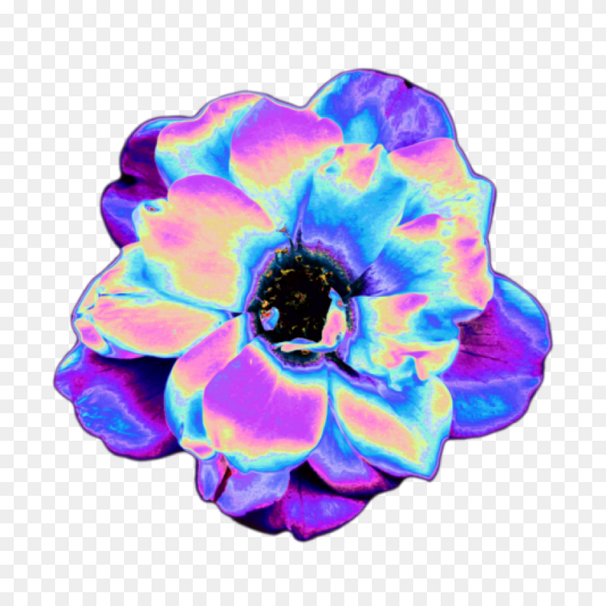 Free Flowers Tumblr Transparent, Do