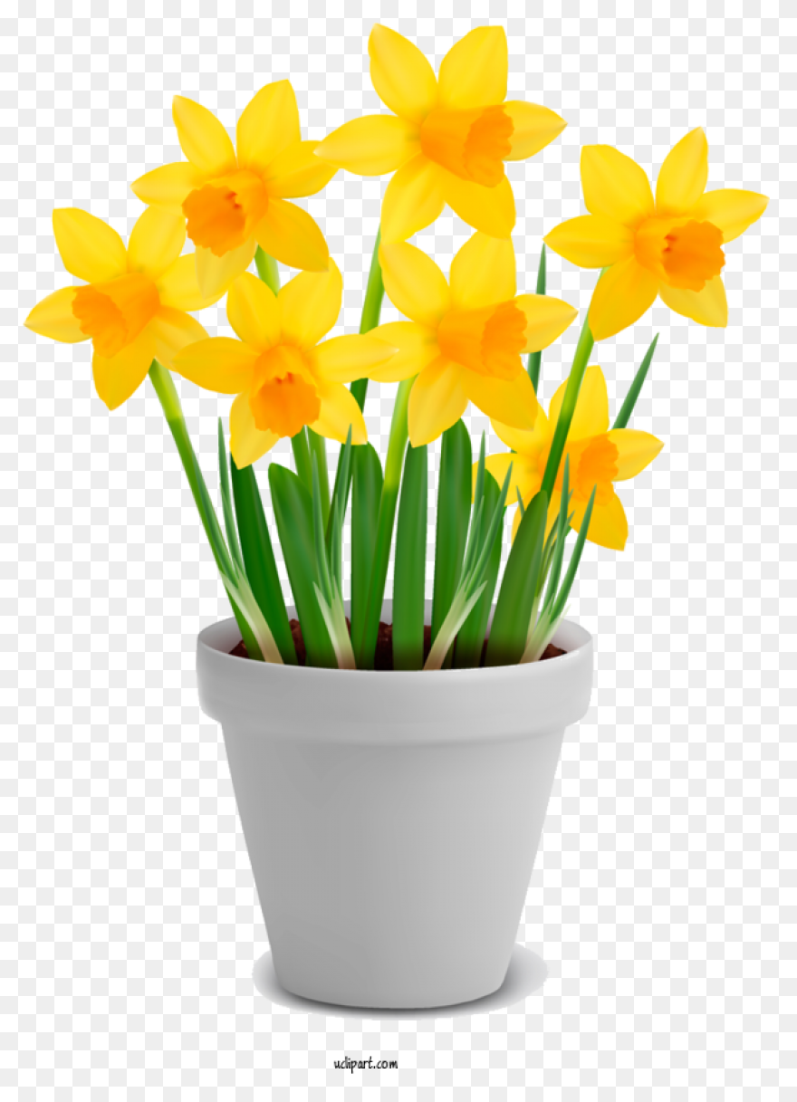 Flower Vase Png & PNG-WebP Tran