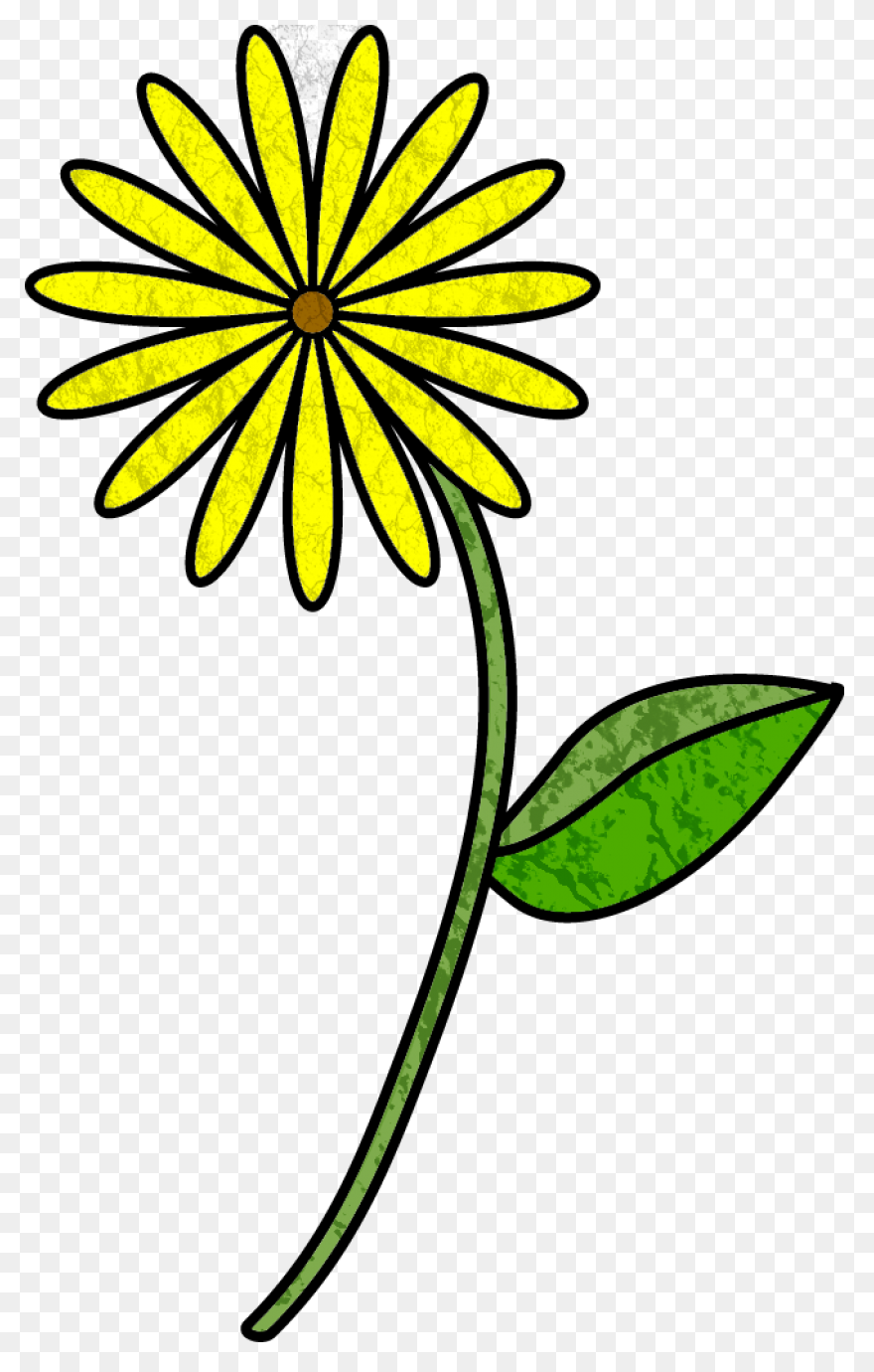 One Large Yellow Sunflower With Ste