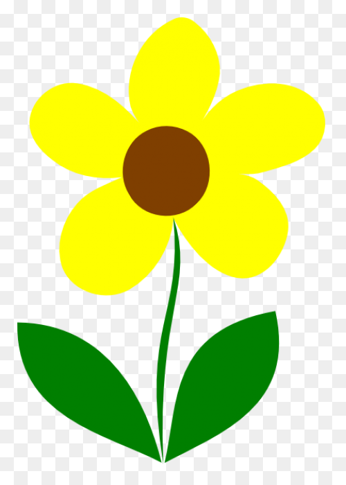 One Large Yellow Sunflower With Ste