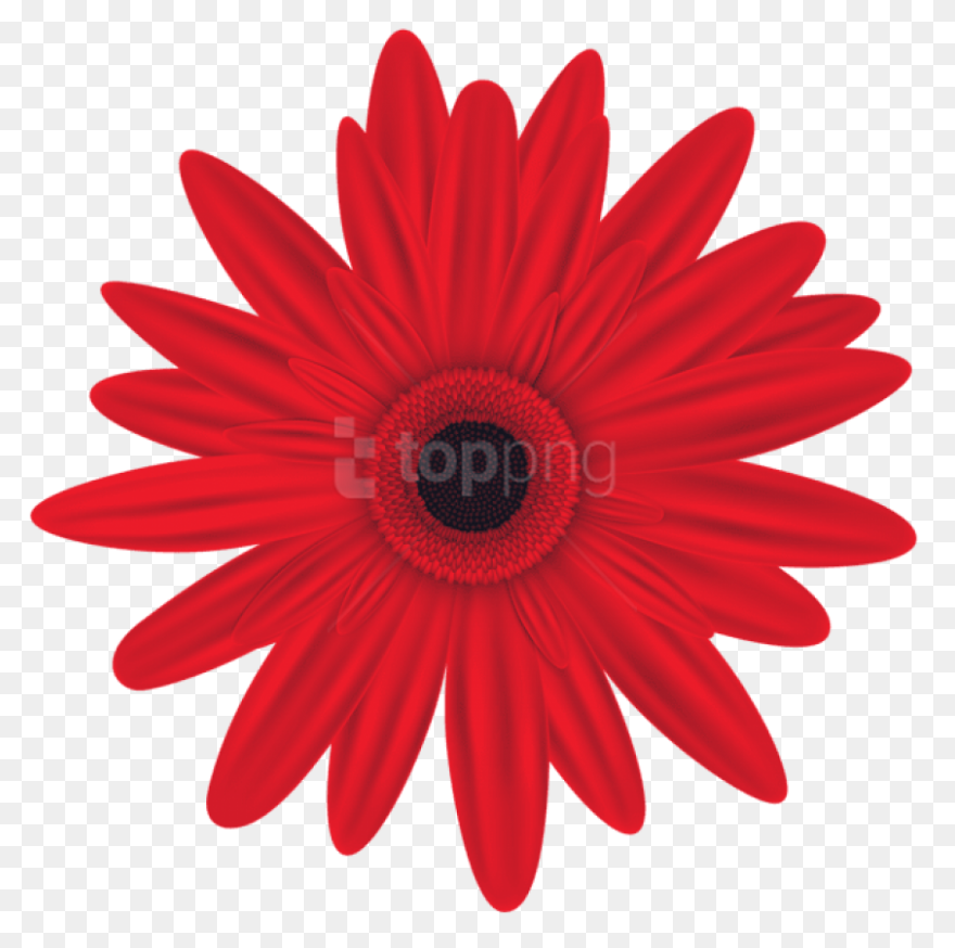 Easter Flower Download Png Image | 