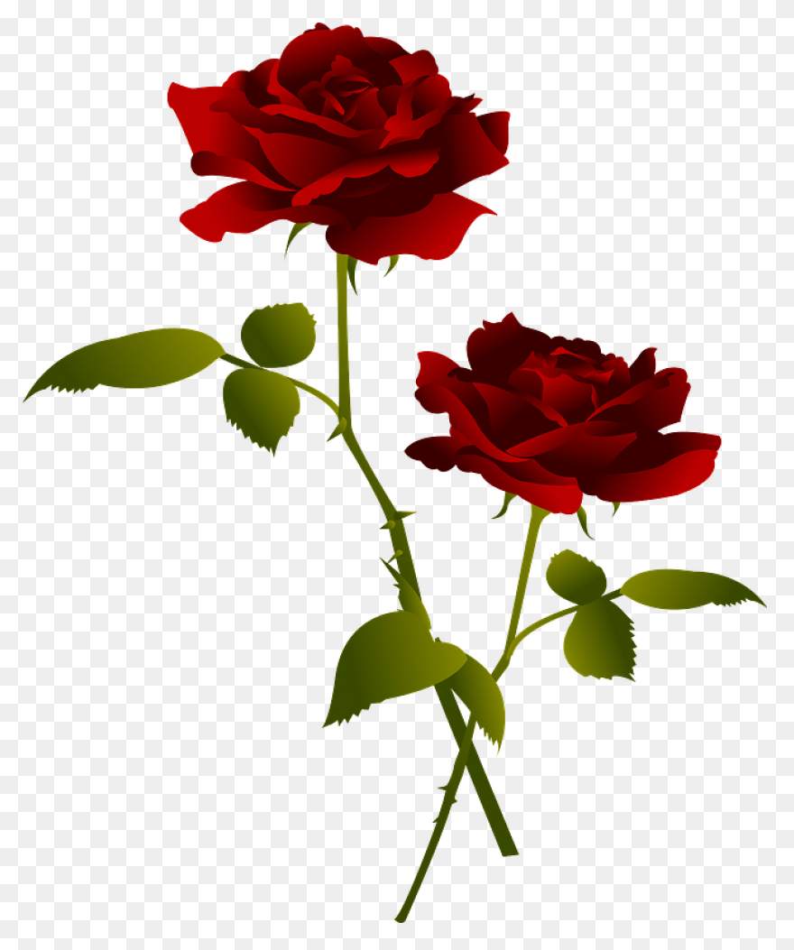 Easter Flower Download Png Image | 