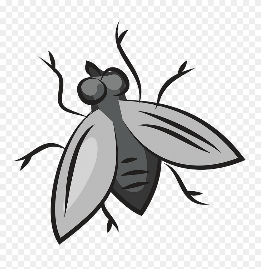 Fly - ClipartFlare