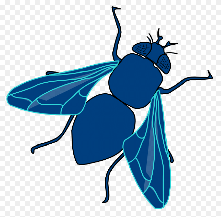 Fly - ClipartFlare