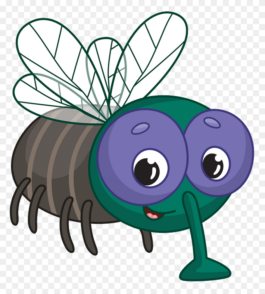 Fly - ClipartFlare