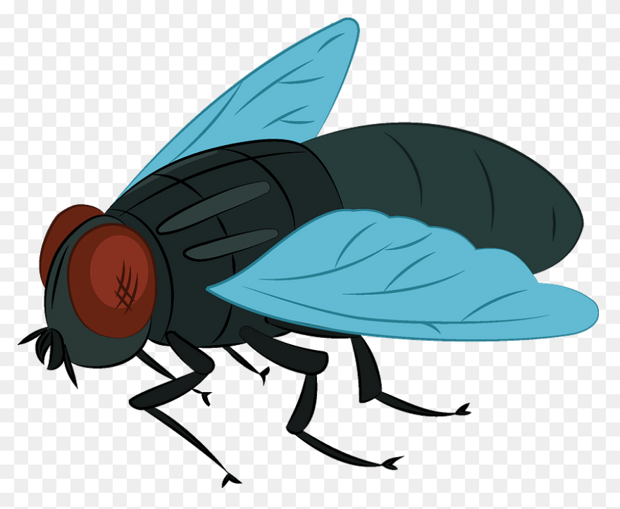 Fly - ClipartFlare