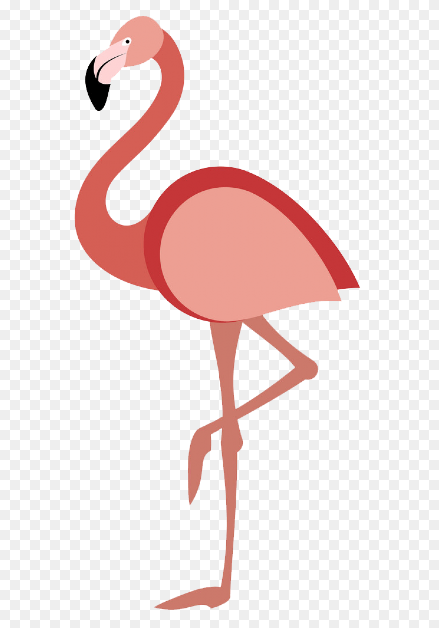 Free Flamingo Clipart - ClipartFlar
