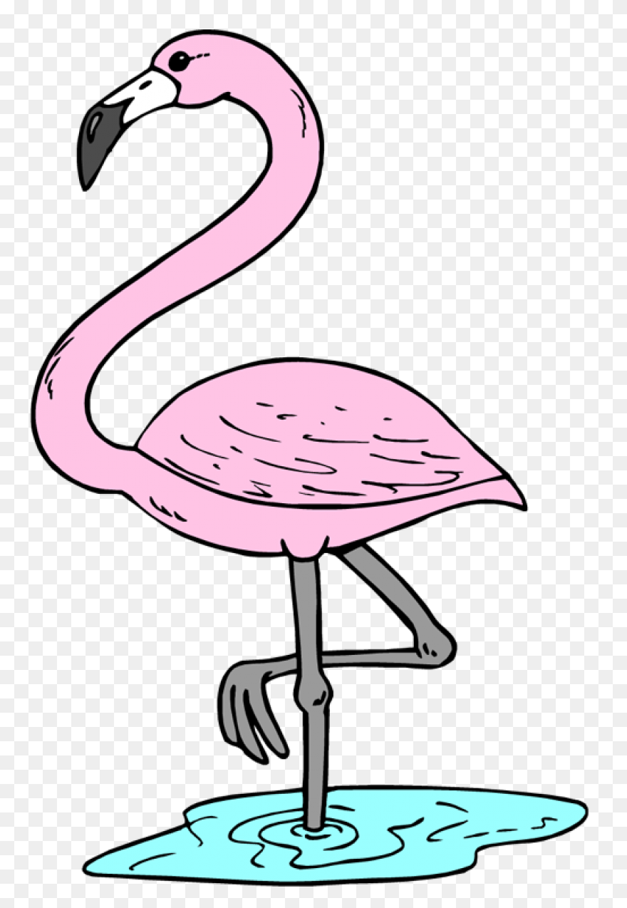 Free Flamingo Clipart  - Flamingo