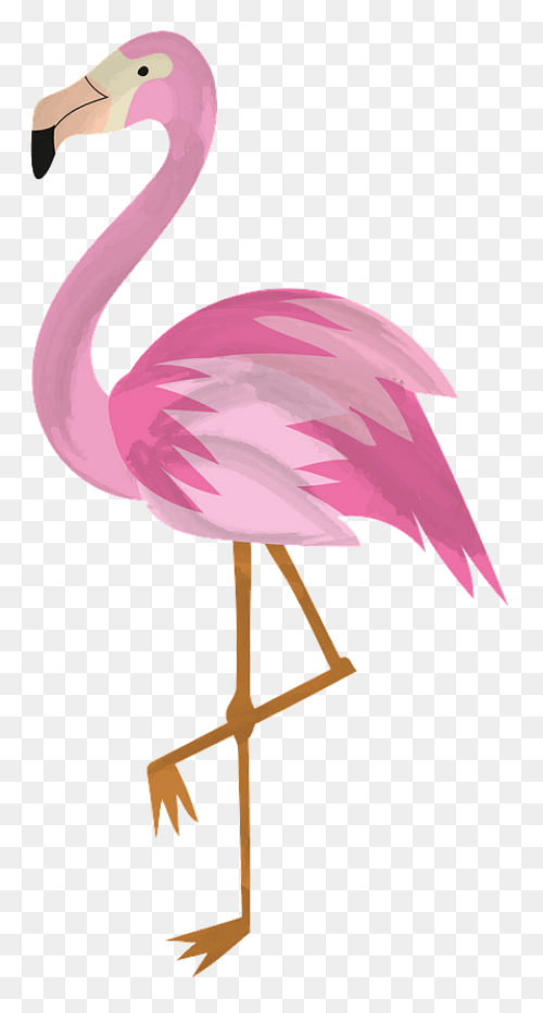 Free Flamingo Clipart - ClipartFlar
