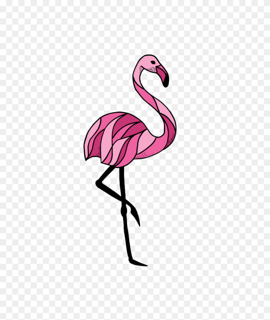 Free Flamingo Clipart - ClipartFlar