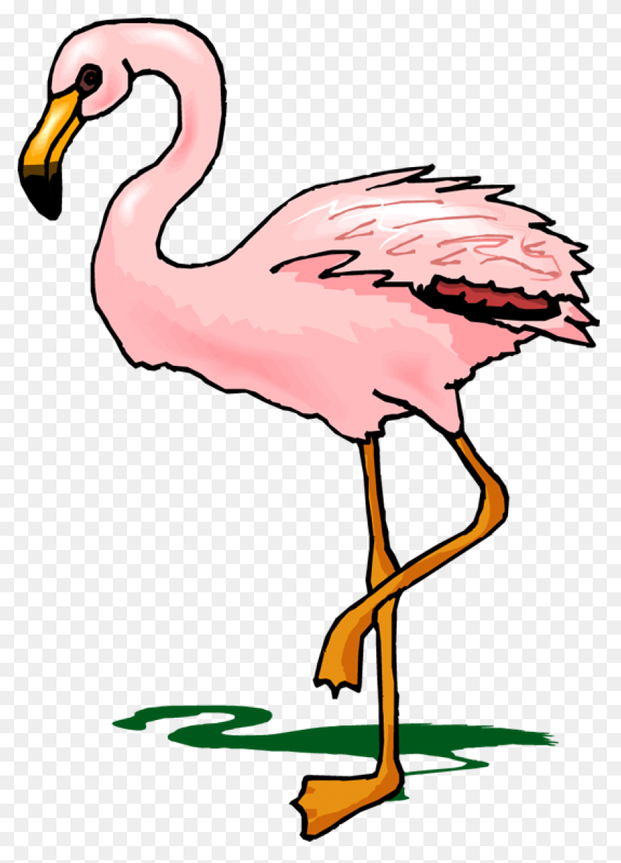 Free Flamingo Clipart - ClipartFlar