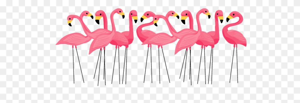Free Flamingo Clipart - ClipartFlar