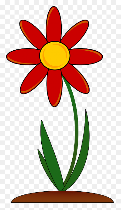 Free Flowers Images, Download Free 