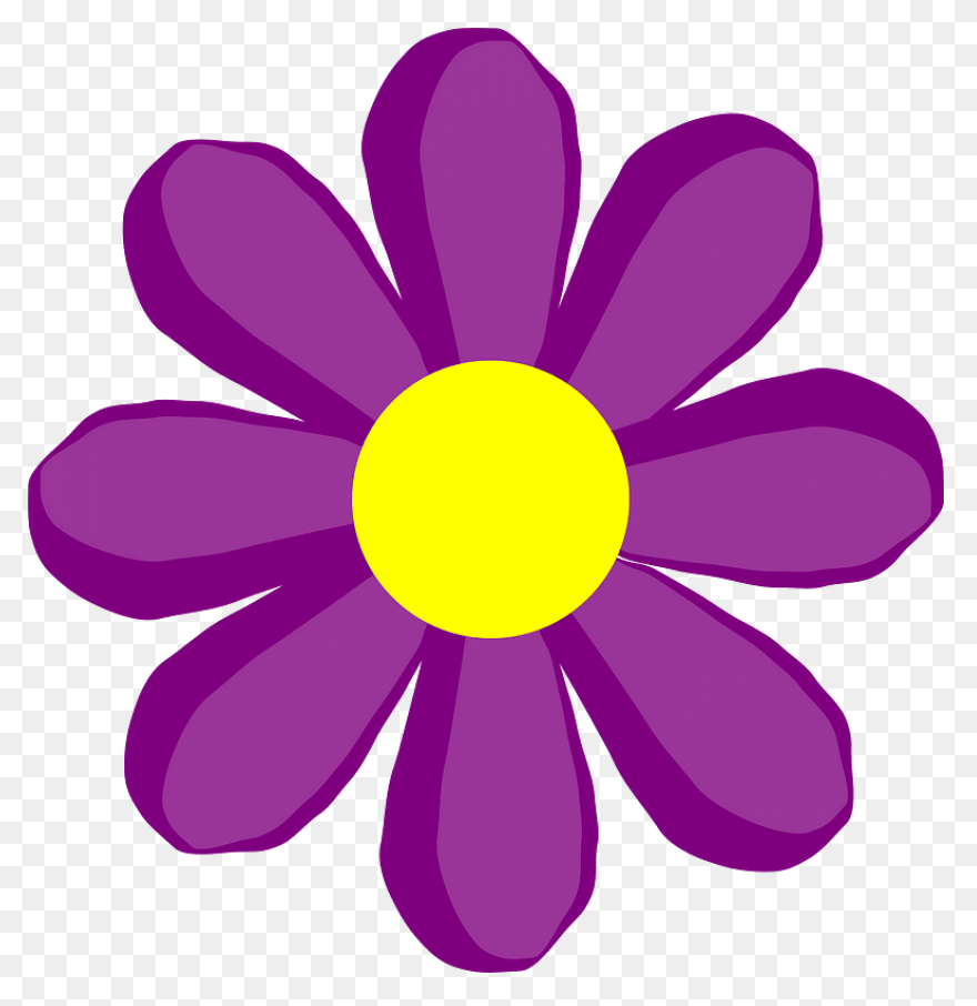 Free Flowers Images, Download Free 