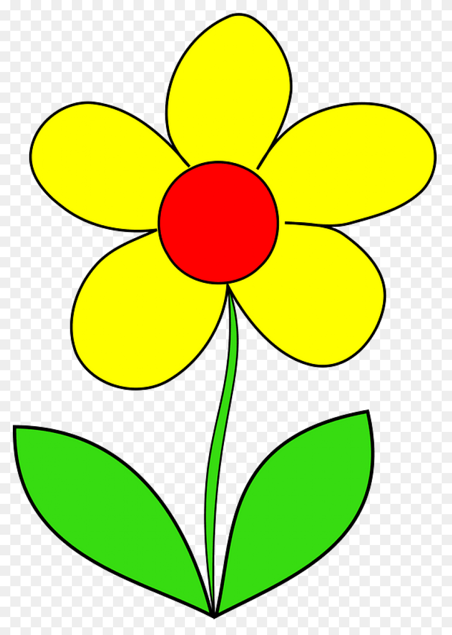 Free Flowers Images, Download Free 