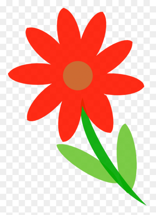 Free Flowers Images, Download Free 