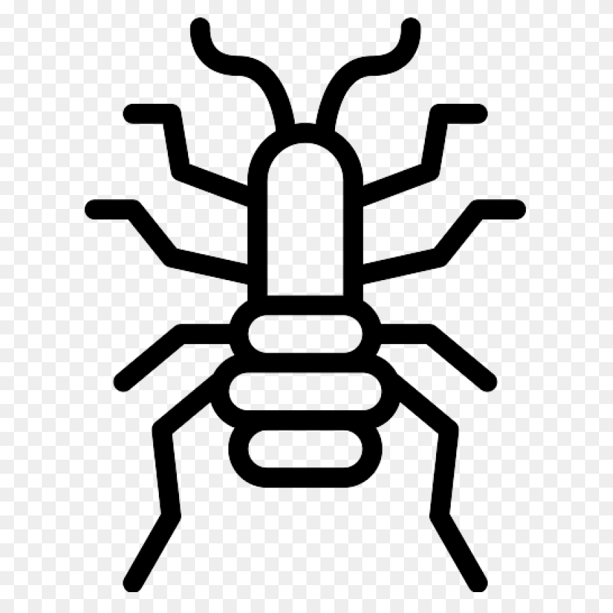 Flea Png