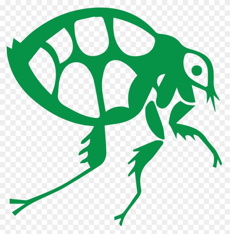 Flea Png