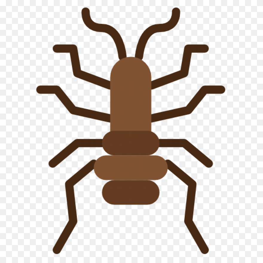 Flea Png