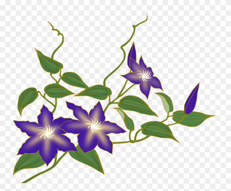 Free Flower Vine Png, Download Free