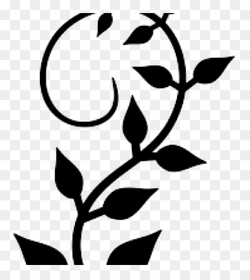 Free Flower Vine Png, Download Free