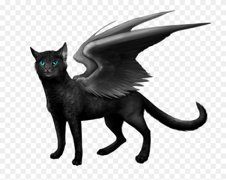 Cartoon Cat Flying On Jindujun By Y